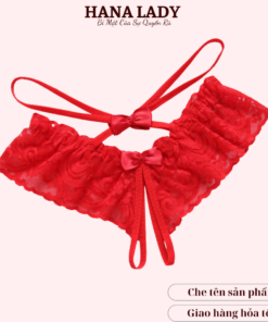 Quần ren hở đũng ren sexy LK016 22