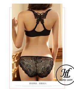 Bộ lót ren cài trước dây bướm nâng ngực siêu xinh DL09 14