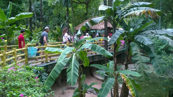 Những địa điểm vui chơi ngày Tết thú vị 5 Những địa điểm vui chơi ngày Tết thú vị