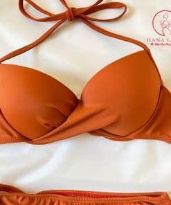 Bikini đồ tắm 2 mảnh lưng cao cam đất sang chảnh BN094 17