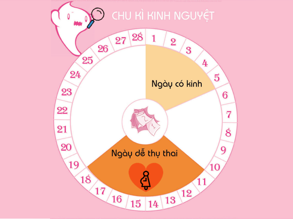 Vừa mới hết kinh 1 ngày quan hệ có thai không 1