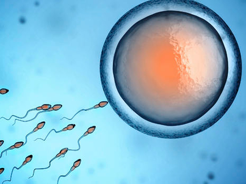 Quan hệ vào ngày đèn đỏ có sao không? 3 Quan hệ ngày đèn đỏ liệu có an toàn