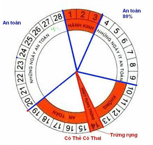 Dấu hiệu nhận biết ngày rụng trứng đơn giản nhất 2 biểu hiện ngày rụng trứng 1