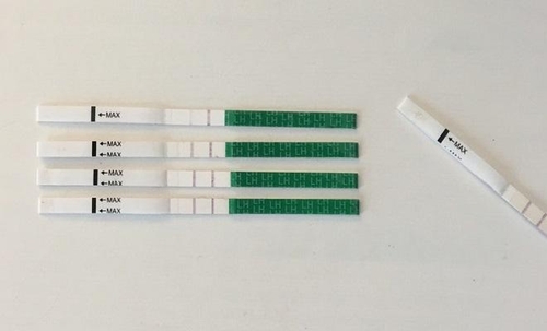 Cách tính ngày rụng trứng để thụ thai và tránh thai các nàng nên biết 4 cách tính ngày rụng trứng 3