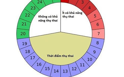 Cách tính ngày rụng trứng để thụ thai và tránh thai các nàng nên biết 1 cách tính ngày rụng trứng
