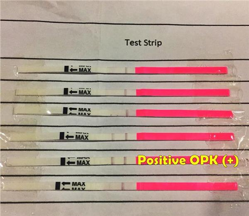 que thử rụng trứng 3