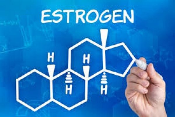 Estrogen là gì? Thừa Estrogen có sao không? 6