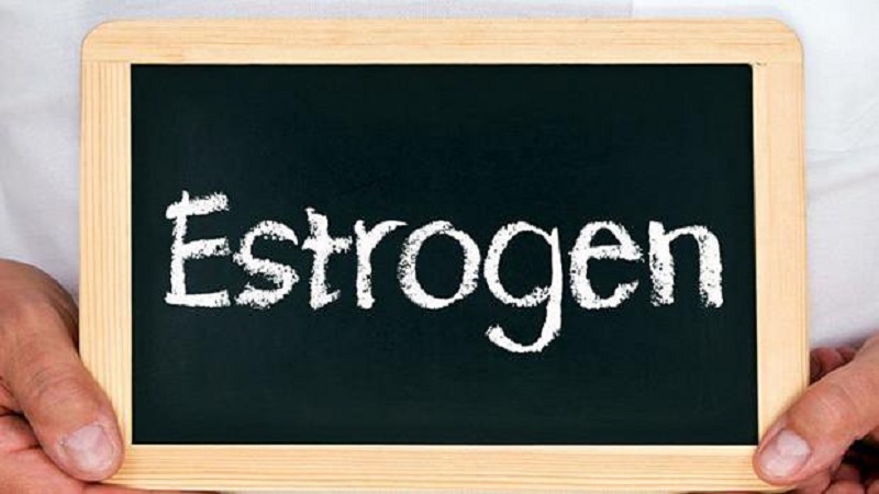 Estrogen là gì? Thừa Estrogen có sao không? 1 Estrogen là gì?