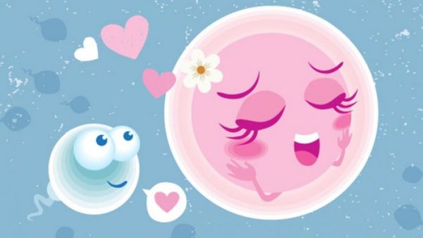 Quan hệ trước rụng trứng 1 ngày sinh con gì?