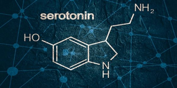 Serotonin là gì? Cách tăng cường hormone serotonin 1
