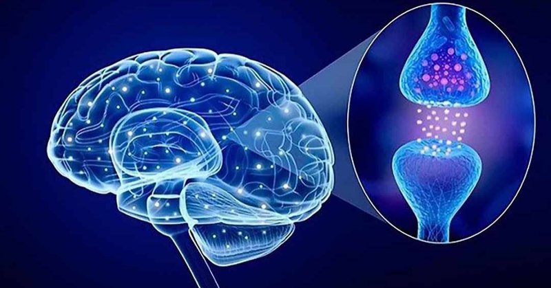 Serotonin là gì? Cách tăng cường hormone serotonin 1 Serotonin là gì?
