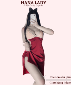 Váy ngủ lụa kèm choàng phối ren cao cấp VN442 9 Váy ngủ lụa kèm choàng phối ren cao cấp VN442 25