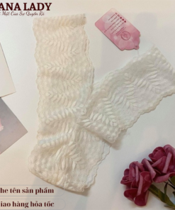 Quần chip lọt khe ren chữ Y ren cao cấp LK054 11