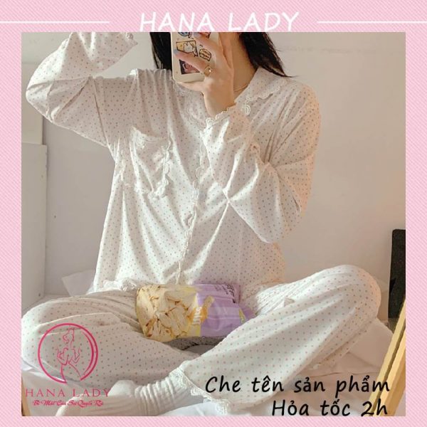 Pijama tay dài mặc nhà - Đồ ngủ nữ thun sữa cao cấp PJ512 17
