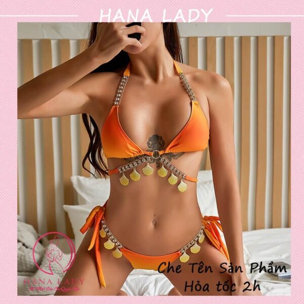 Bikini 2 mảnh gợi cảm ombre - Đồ tắm đi biển quyến dây quyến rũ BN137 39