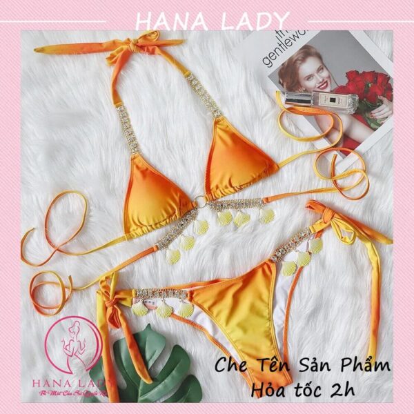 Bikini 2 mảnh gợi cảm ombre - Đồ tắm đi biển quyến dây quyến rũ BN137 37