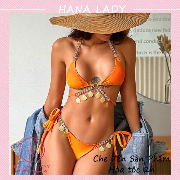 Bikini 2 mảnh gợi cảm ombre - Đồ tắm đi biển quyến dây quyến rũ BN137 36