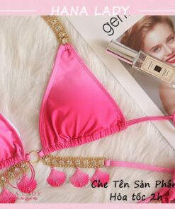 Bikini 2 mảnh gợi cảm ombre - Đồ tắm đi biển quyến dây quyến rũ BN137 18