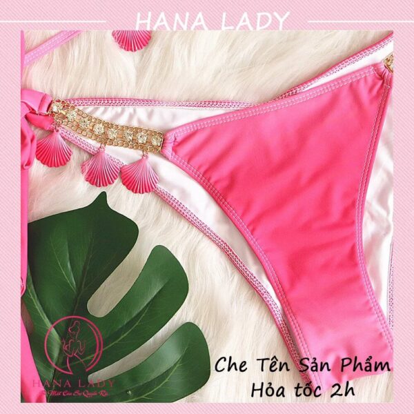 Bikini 2 mảnh gợi cảm ombre - Đồ tắm đi biển quyến dây quyến rũ BN137 29