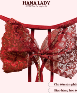 Quần lót lọt khe, quần chip ren sexy gợi cảm hình nơ phối dây độc đáo LK104 21