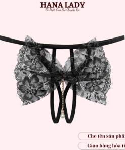Quần lót lọt khe, quần chip ren sexy gợi cảm hình nơ phối dây độc đáo LK104 17