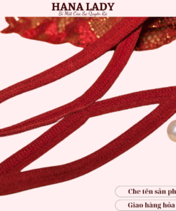 Quần lót lọt khe, quần chip ren sexy gợi cảm hình nơ phối dây độc đáo LK104 19
