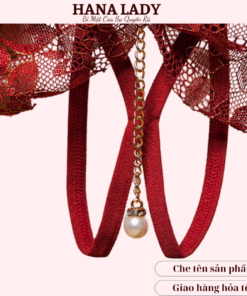 Quần lót lọt khe, quần chip ren sexy gợi cảm hình nơ phối dây độc đáo LK104 20