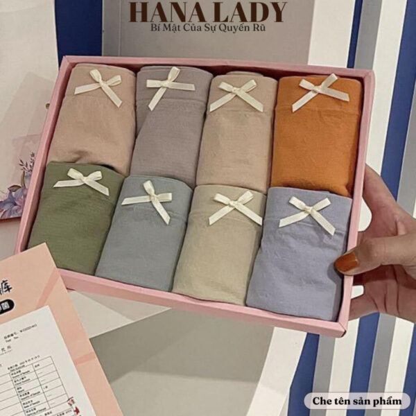 Quần lót nữ - Set 8 quần lót cotton có túi đựng QL025 14 Quần lót nữ - Set 8 quần lót cotton có túi đựng QL025 23