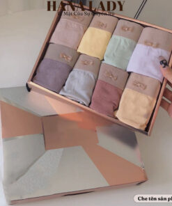 Quần lót nữ - Hộp set 8 quần lót cotton phối màu pastel dễ thương kèm túi QL026 11