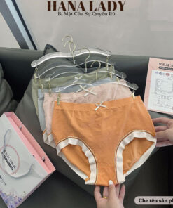 Quần lót nữ - Set 8 quần lót cotton có túi đựng QL025 4 Quần lót nữ - Set 8 quần lót cotton có túi đựng QL025 13