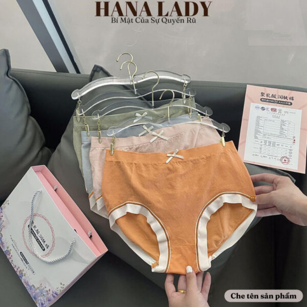 Quần lót nữ - Set 8 quần lót cotton có túi đựng QL025 22