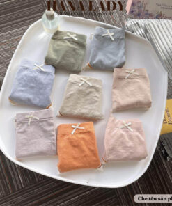 Quần lót nữ - Set 8 quần lót cotton có túi đựng QL025 8 Quần lót nữ - Set 8 quần lót cotton có túi đựng QL025 17