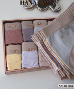 Quần lót nữ - Hộp set 8 quần lót cotton phối màu pastel dễ thương kèm túi QL026 15