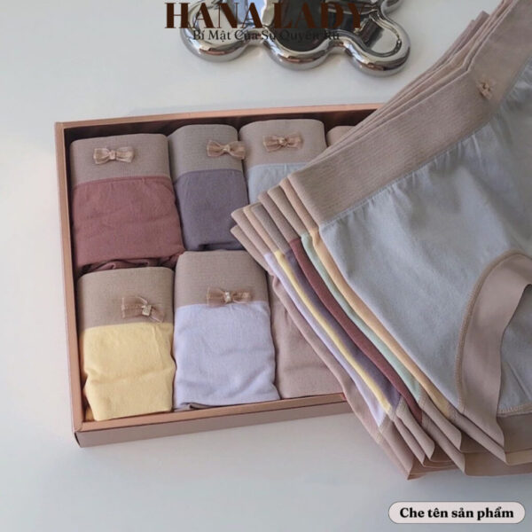 Quần lót nữ - Hộp set 8 quần lót cotton phối màu pastel dễ thương kèm túi QL026 16