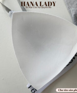 Áo bra thể thao Clover - Áo lót nữ không gọng mềm mại cài sau tiện lợi AL014 20