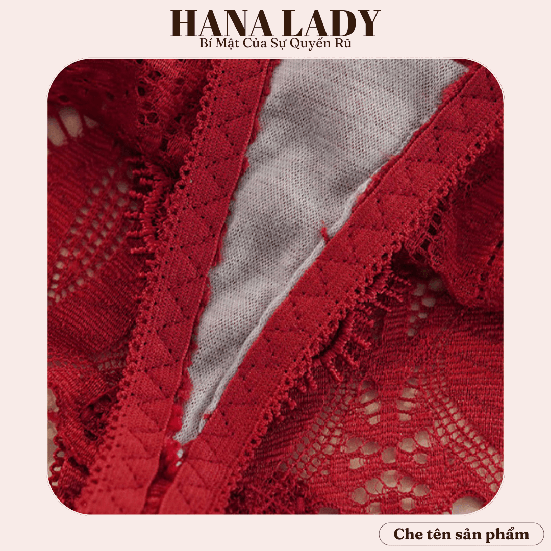 Quần lót ren nữ sexy - Quần lọt khe ren cao cấp quyến rũ LK121 17