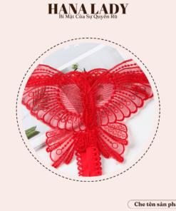 Quần Lót Ren Sexy - Quần Lọt Khe Ren Hình Bướm Xuyên Thấu Khiêu Gợi LK123 13 Quần Lót Ren Sexy - Quần Lọt Khe Ren Hình Bướm Xuyên Thấu Khiêu Gợi LK123 25