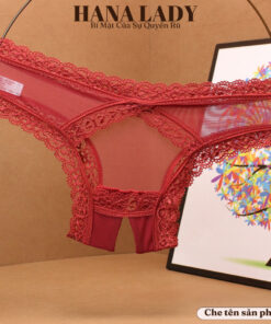 Quần Lót Ren Nữ Sexy - Quần Chip Xuyên Thấu Hở Mông Xẻ Đáy Gợi Cảm LK134 4 Quần Lót Ren Nữ Sexy - Quần Chip Xuyên Thấu Hở Mông Xẻ Đáy Gợi Cảm LK134 11