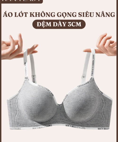 Trang chủ 62
